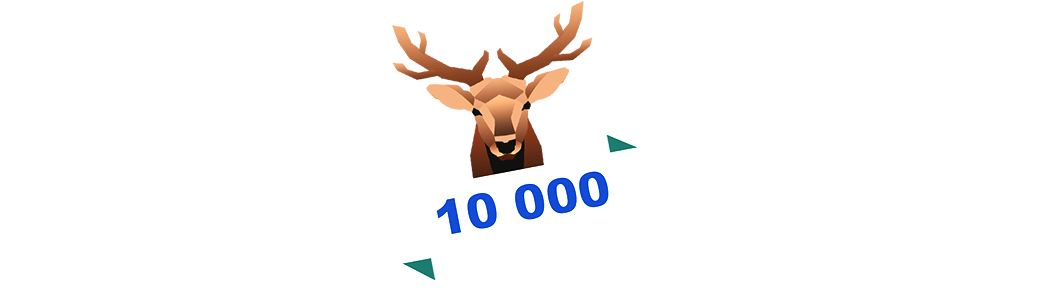 Bingo Live 10 000 Bingo Live 10 000