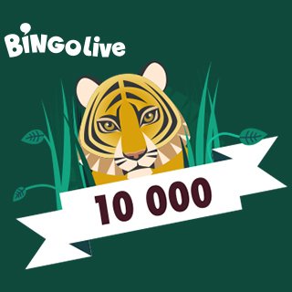 Bingo 10 000 Jungle