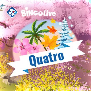 Bingo Live Quatro Spring