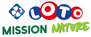 logo loto