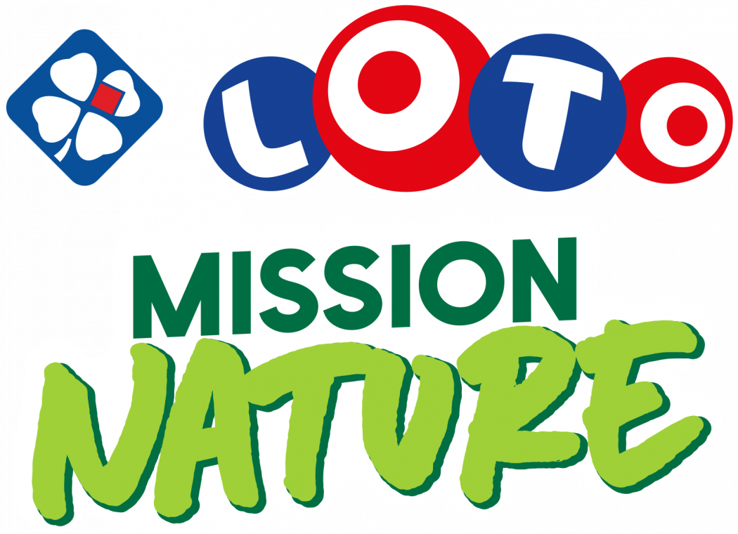 logo loto logo loto