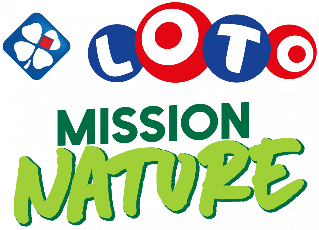 logo loto