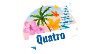 Bingo Live Quatro Summer