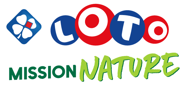 logo loto logo loto